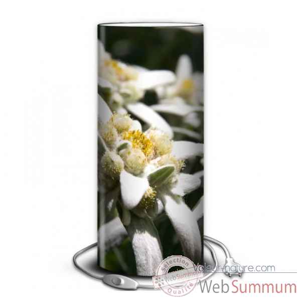 Lampe montagne fleur d'edelweiss -MO1421