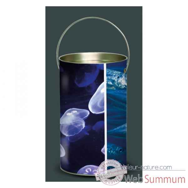 Lanterne faune marine méduses -FM4LAN